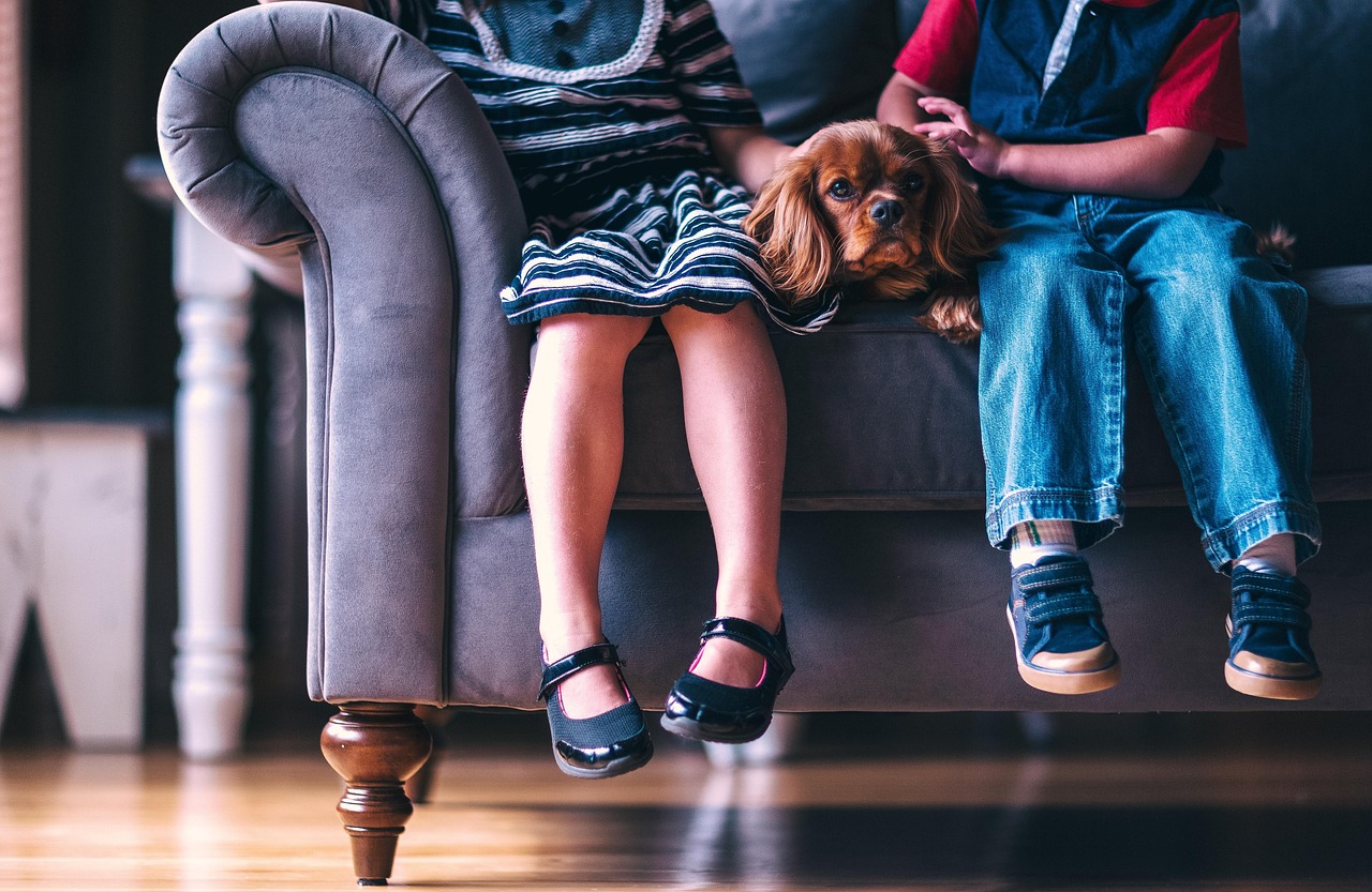 Lichte, speelse kinderkamer met multifunctionele meubels. Lichte, speelse kinderkamer met multifunctionele meubels.