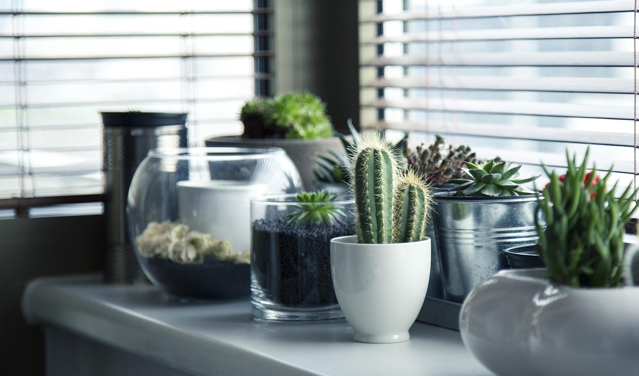 Mini binnentuin met vetplanten en kleurrijke potten. Mini binnentuin met vetplanten en kleurrijke potten.